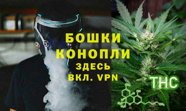 ПСИЛОЦИБИНОВЫЕ ГРИБЫ Куйбышев